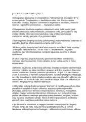 Kaučiuko savybės 4 puslapis