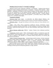 Medienos ir polichromijos pažeidimai. Medienos apsaugos ir tvirtinimo medžiagos 11 puslapis