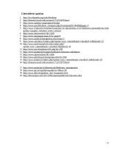 Medienos ir polichromijos pažeidimai. Medienos apsaugos ir tvirtinimo medžiagos 13 puslapis