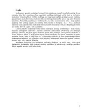 Medienos ir polichromijos pažeidimai. Medienos apsaugos ir tvirtinimo medžiagos 3 puslapis