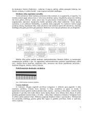 Medienos ir polichromijos pažeidimai. Medienos apsaugos ir tvirtinimo medžiagos 5 puslapis