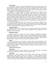 Medienos ir polichromijos pažeidimai. Medienos apsaugos ir tvirtinimo medžiagos 6 puslapis