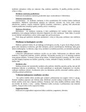 Medienos ir polichromijos pažeidimai. Medienos apsaugos ir tvirtinimo medžiagos 7 puslapis