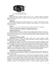 Medienos ir polichromijos pažeidimai. Medienos apsaugos ir tvirtinimo medžiagos 8 puslapis