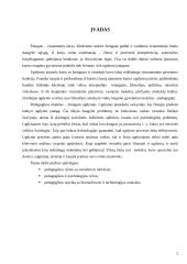 Pedagogikos ryšys su kitais mokslais 2 puslapis