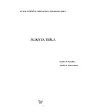Plikyta tešla