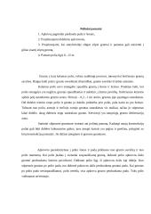 Poliniai pamatai 2 puslapis