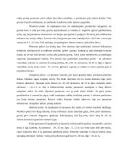 Poliniai pamatai 12 puslapis