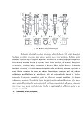 Poliniai pamatai 6 puslapis