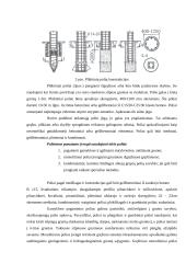 Poliniai pamatai 7 puslapis