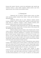 Poliniai pamatai 10 puslapis