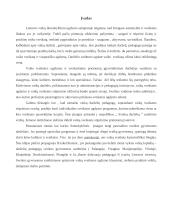 Sveikos gyvensenos pagrindų skiepijimas vaikų darželyje 2 puslapis