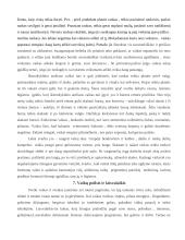 Sveikos gyvensenos pagrindų skiepijimas vaikų darželyje 13 puslapis