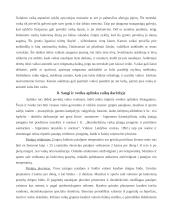 Sveikos gyvensenos pagrindų skiepijimas vaikų darželyje 16 puslapis