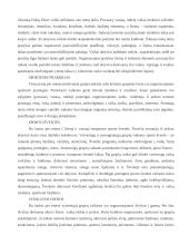 Sveikos gyvensenos pagrindų skiepijimas vaikų darželyje 19 puslapis