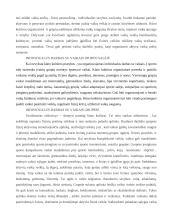 Sveikos gyvensenos pagrindų skiepijimas vaikų darželyje 20 puslapis