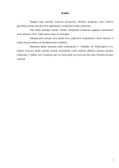 Svetimų teisės aktų panaudojimas Lietuvoje 2 puslapis