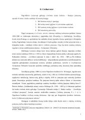 Svetimų teisės aktų panaudojimas Lietuvoje 4 puslapis