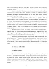 Ugdymo tikslas ir uždaviniai 3 puslapis