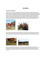 Veisimo metodai 3 puslapis