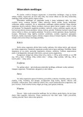 Vitaminų ir mikroelementų šaltiniai 7 puslapis