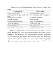 Žargonybės, profesionalizmai ir vertalai 6 puslapis