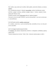 Žargonybės, profesionalizmai ir vertalai 9 puslapis