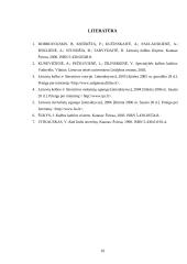 Žargonybės, profesionalizmai ir vertalai 10 puslapis