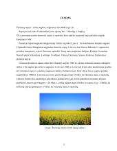 Žieminiai rapsai 2 puslapis