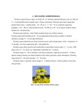 Žieminiai rapsai 3 puslapis