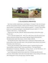 Žieminiai rapsai 7 puslapis