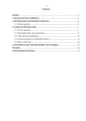 Žiniasklaidos įtaka vaiko socializacijai 2 puslapis