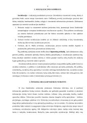 Žiniasklaidos įtaka vaiko socializacijai 4 puslapis