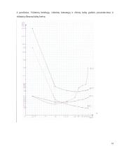 Ekonomikos situacijos tyrimas 12 puslapis
