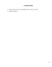 Ekonomikos situacijos tyrimas 13 puslapis