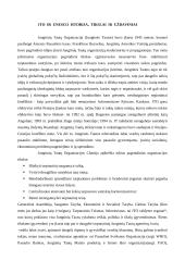 Internetinės svetainės informacijos pateikimo ir komunikacijos efektyvumas 2 puslapis