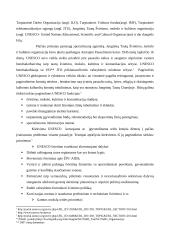 Internetinės svetainės informacijos pateikimo ir komunikacijos efektyvumas 3 puslapis