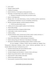 Internetinės svetainės informacijos pateikimo ir komunikacijos efektyvumas 4 puslapis