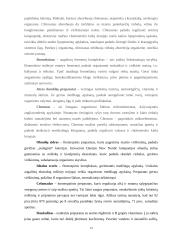 Liekninančiųjų kategorijai priskiriami vaistai ir maisto papildai 15 puslapis