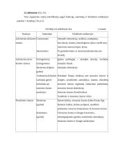 Stomuotų žmonių slauga ir gyvenimo kokybė 13 puslapis