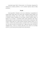 S. Kierkegoras "Arba-arba" 4 puslapis