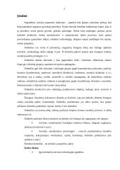 Moteriškas paltas 2 puslapis