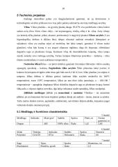 Moteriškas paltas 18 puslapis