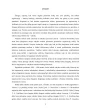 Vadybos mokslo raida Lietuvoje iki šių laikų 3 puslapis