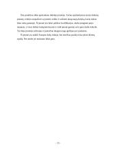 Praktikos ataskaita: drabužių siuvimas UAB "Dangija" 13 puslapis