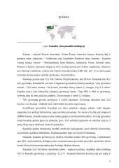 Kanados politiniai veikėjai ir administravimas 2 puslapis