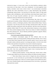 Maisto saugumo problema pasaulyje ir jos sprendimo būdai 12 puslapis