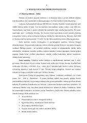 Maisto saugumo problema pasaulyje ir jos sprendimo būdai 4 puslapis