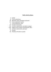 Teisės pažeidimas, jo rūšys 11 puslapis