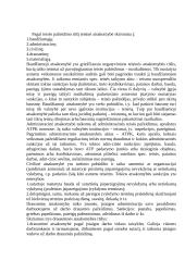 Teisės pažeidimas, jo rūšys 7 puslapis